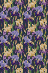 Bold Iris