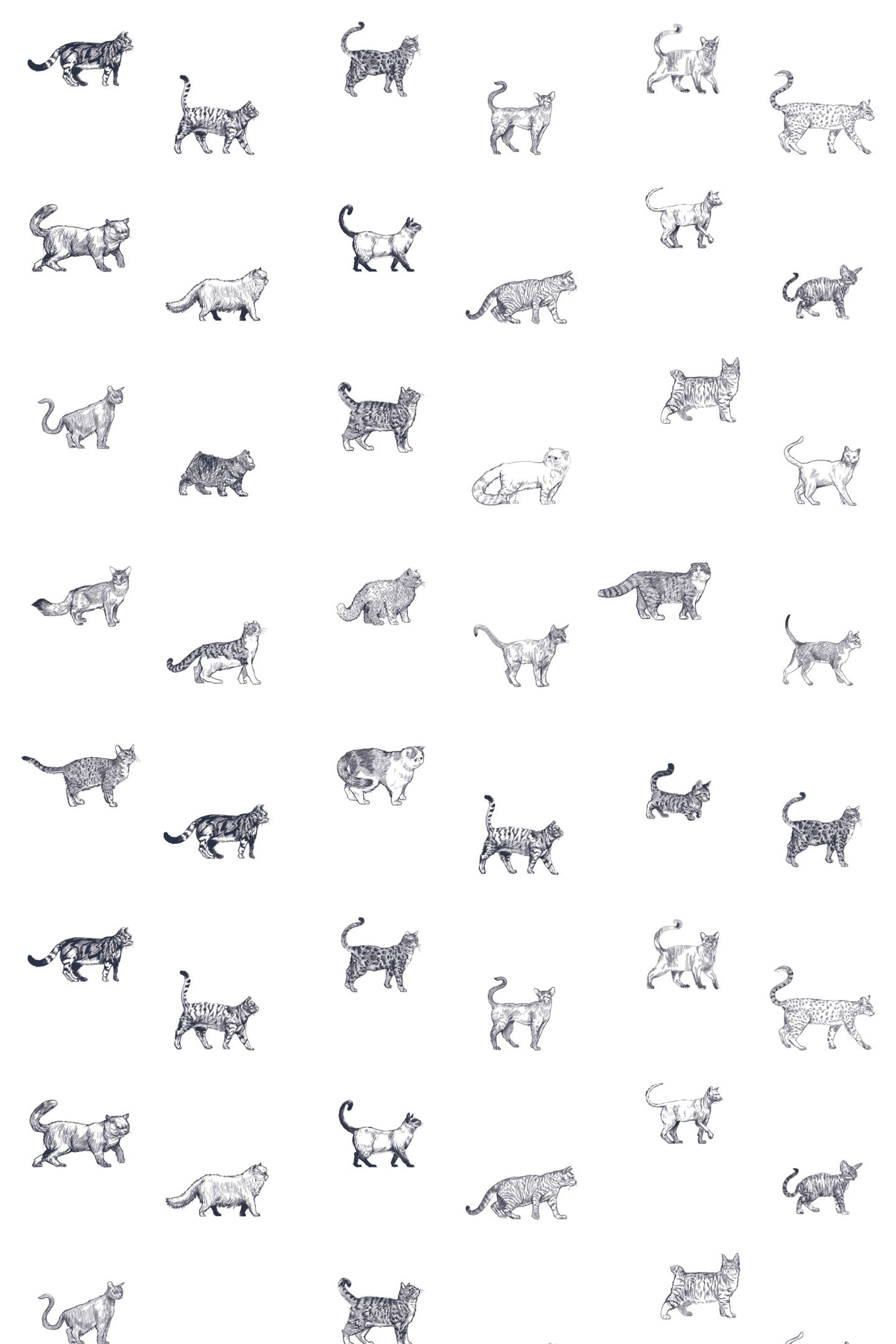 A patterned wallpaper with various breeds of sketched cats in repeat sequence, peel and stick removable wallpaper.