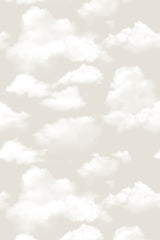 Beachy Clouds in Neutral