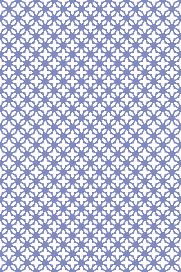 Jacaranda wallpapers