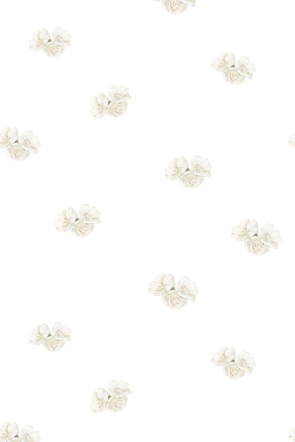 Delicate white floral wallpaper pattern.
