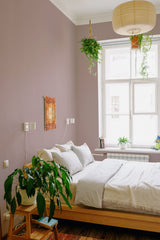 Room with Solid Orchid Pink wallpaper covering the wall, adding a soft, warm backdrop to the space, which includes a bed, plants, and natural light coming through the window. Traditional wallpaper.