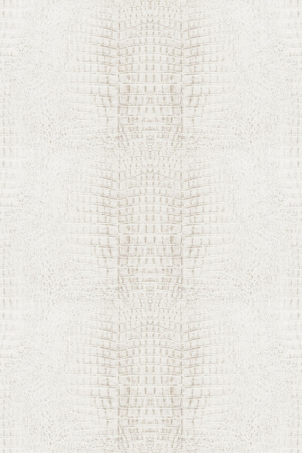 Light gray crocodile