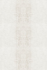 Light gray crocodile