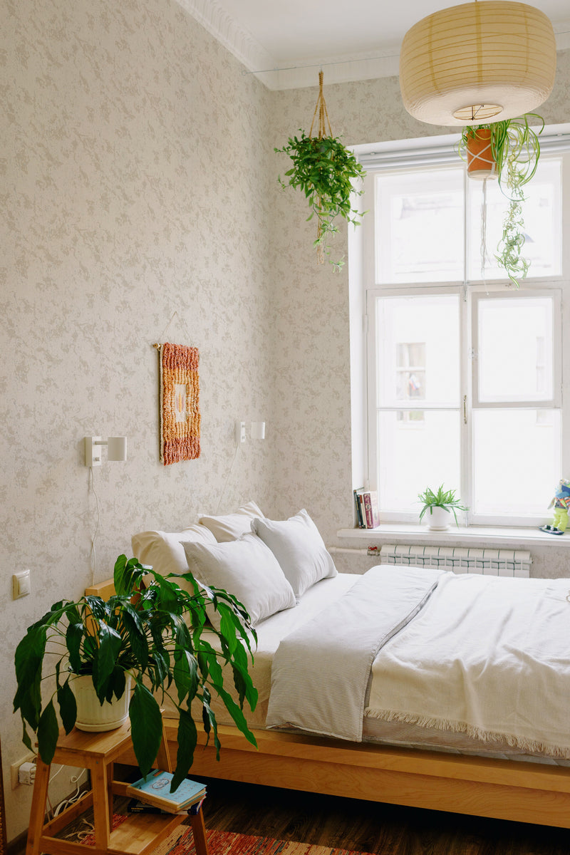 A cozy bedroom with a subtle Limewash patterned wallpaper offering a soft, traditional backdrop to the natural light-filled space, complemented by indoor plants and simple, clean decor, creating a serene atmosphere, traditional wallpaper.