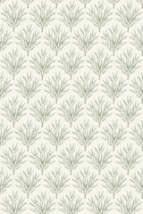 A pattern of stylized olive branches in even rows on a neutral background, offering a calming botanical aesthetic for a peel and stick removable wallpaper.