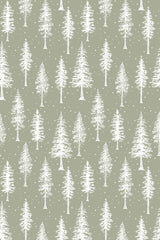 Green Winter Forest