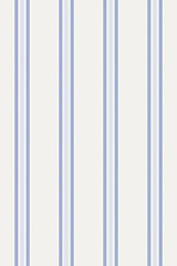 Classic Blue French Stripes