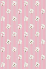 Cute Pink Dandelions
