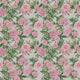 Pink Dahlias Wallpaper