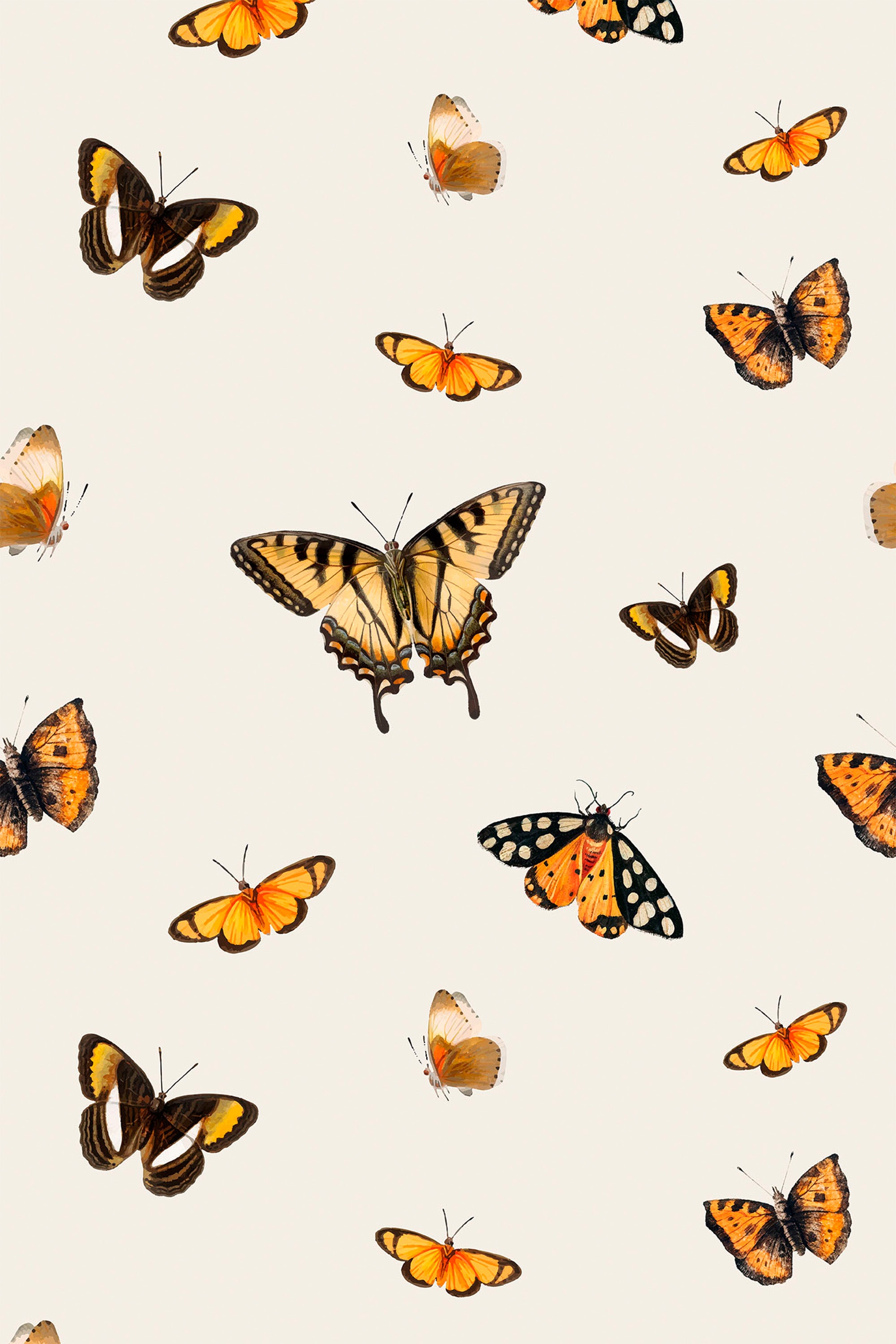 Pattern of orange and black butterflies on a beige background