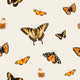 Orange Butterfly Wallpaper