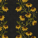 Trailing Sunflowers
