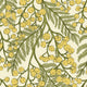 Airy Mimosa Sprigs