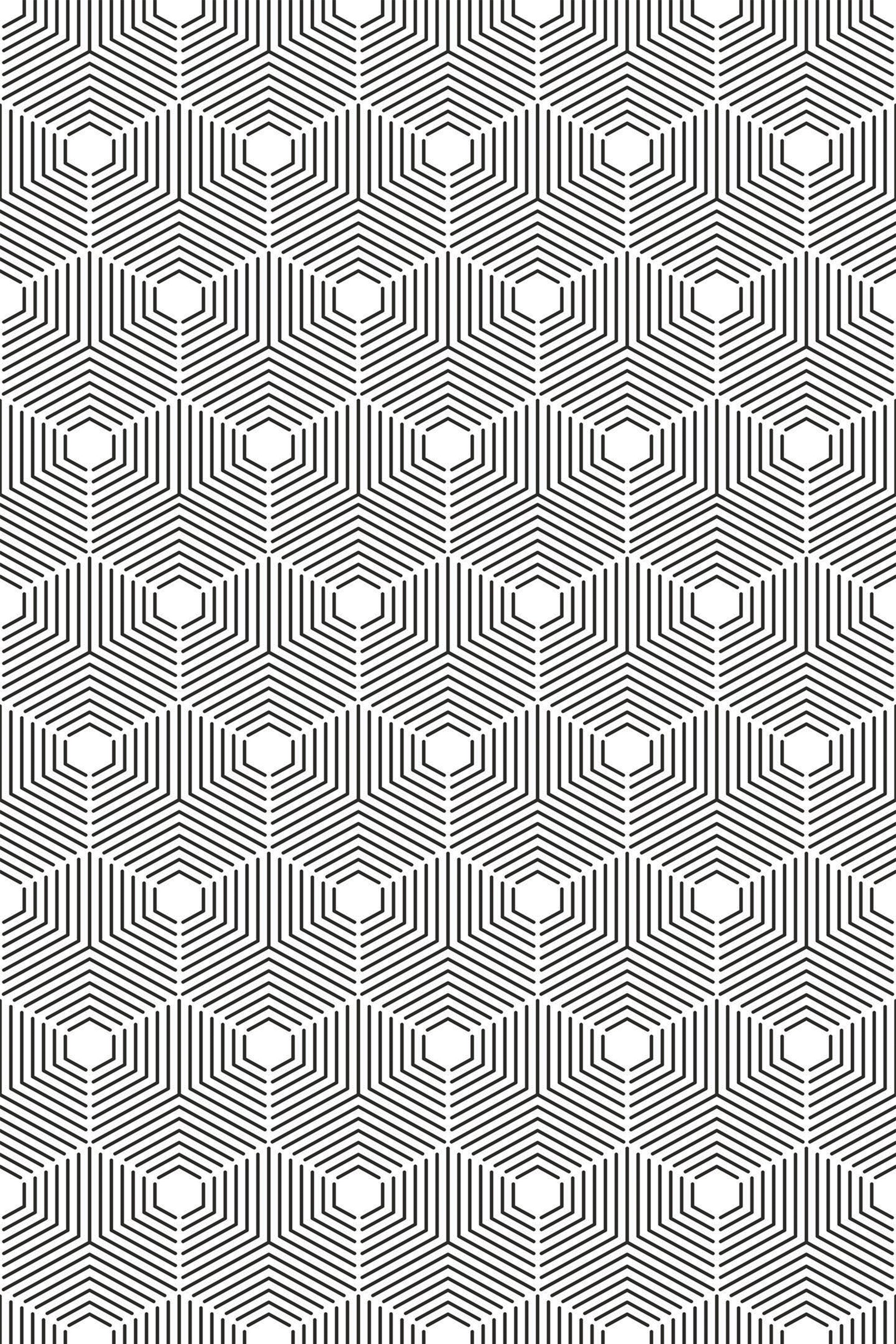 Black and white geometric wallpaper with a hexagon pattern, where each hexagon is composed of concentric lines that create an optical illusion effect. Peel and stick removable wallpaper.