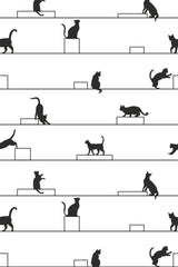 Aesthetic cats