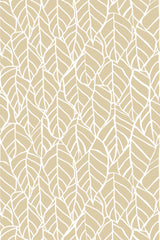 Hand drawn leaf