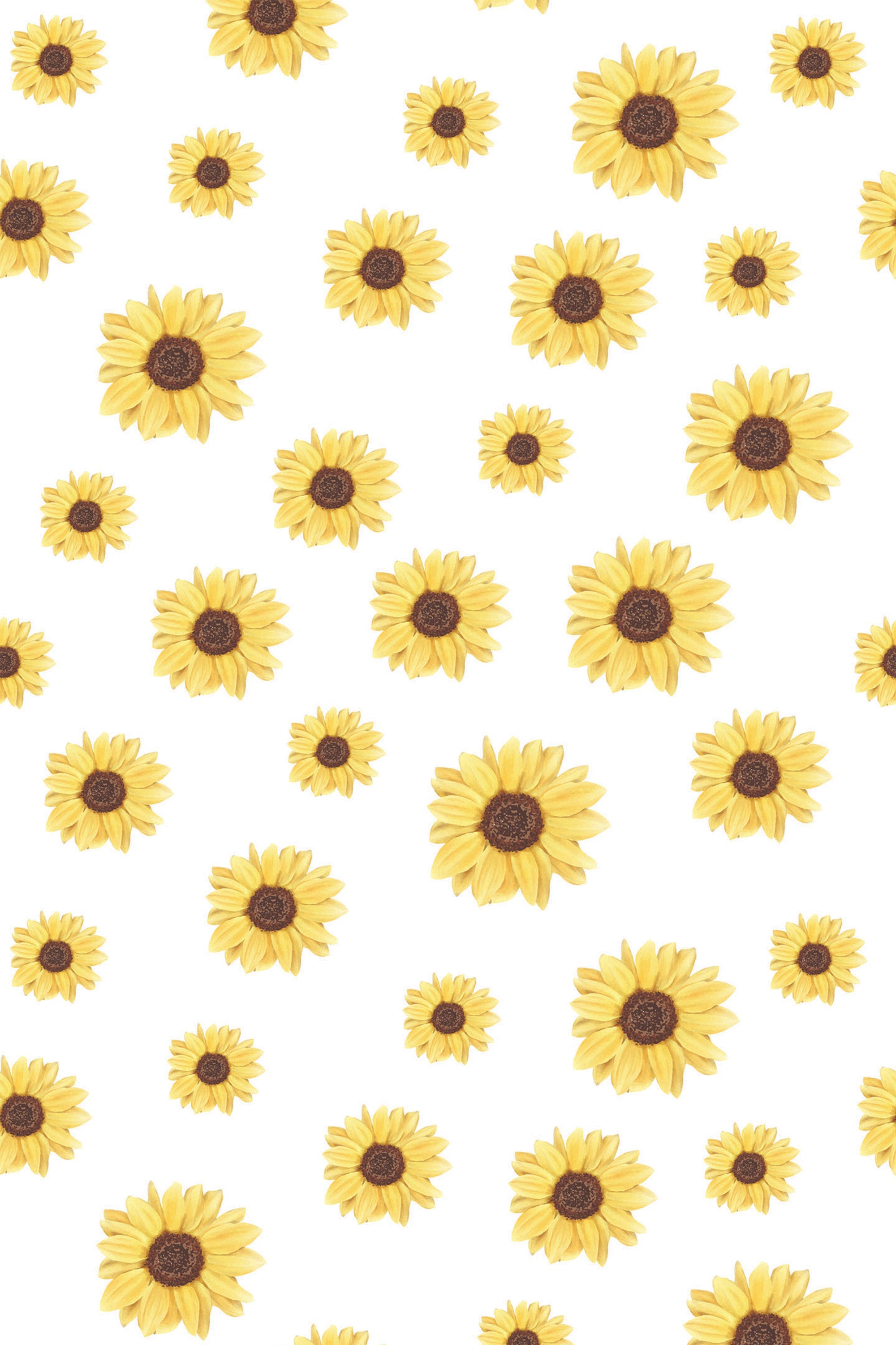 Yellow sunflowers of various sizes with dark centers scattered across a white background. Peel and stick removable wallpaper.