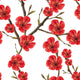 Spring flowers Wallpaper