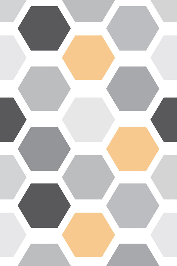 Colorful hexagon