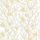 Citrus tree Wallpaper
