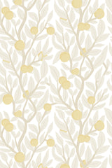 Citrus tree