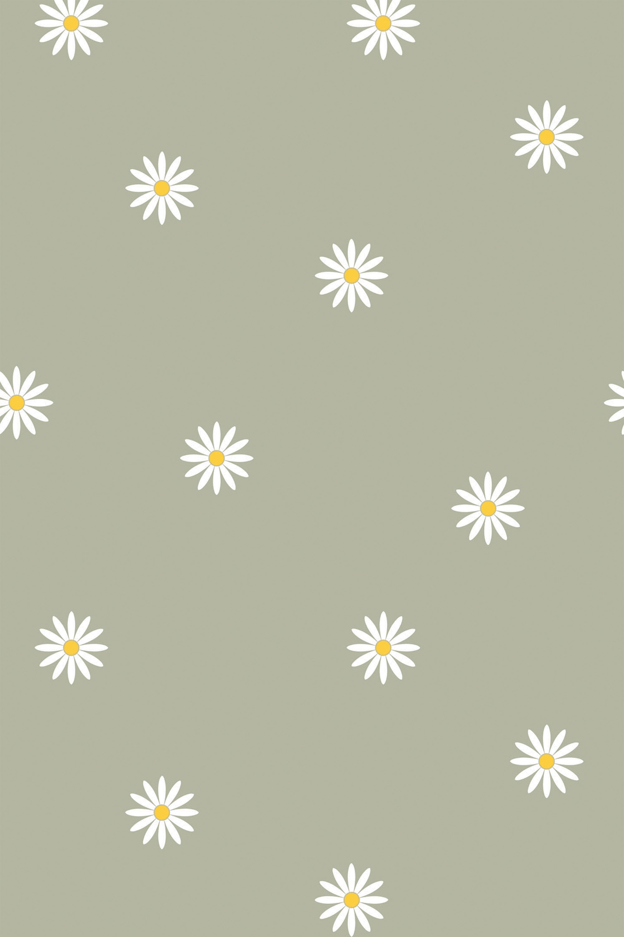 A repeating pattern of white, five-petal daisies with yellow centers scattered across a muted green background. Peel and stick removable wallpaper.