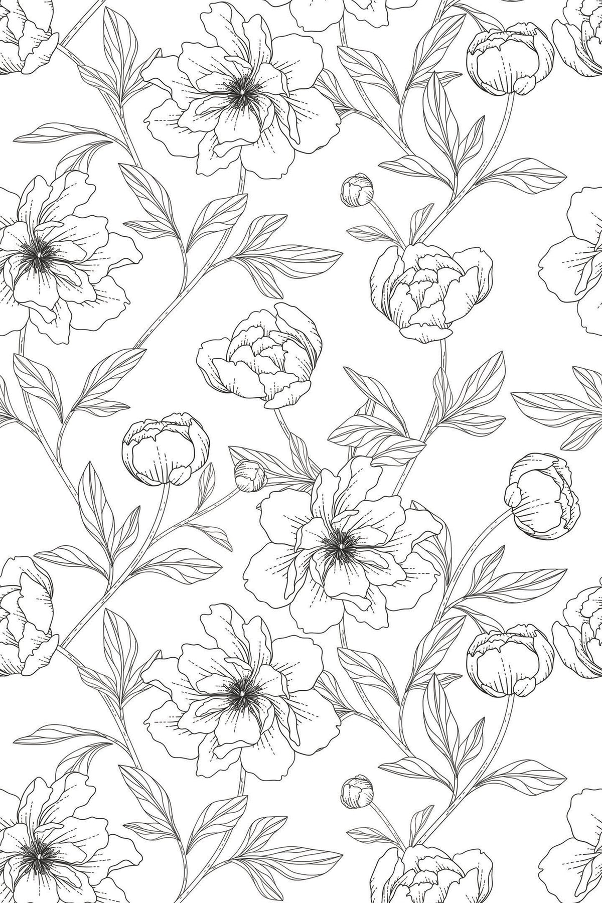 Flower line art Peel and Stick Removable Wallpaper