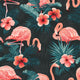 Bold flamingo Wallpaper