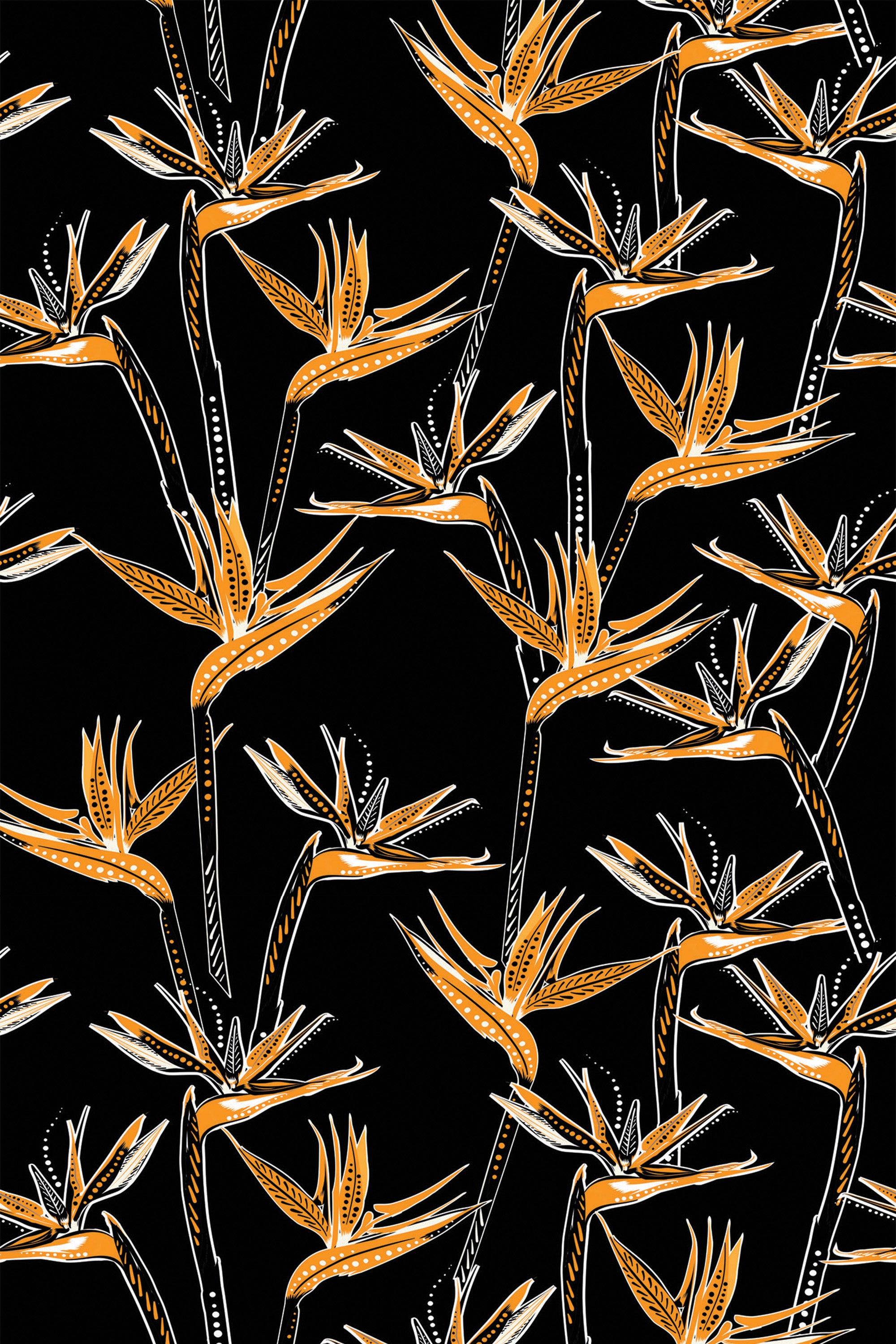 Orange and white tropical flowers with dotted and striped details on long, slender stems against a black background. Peel and stick removable wallpaper.