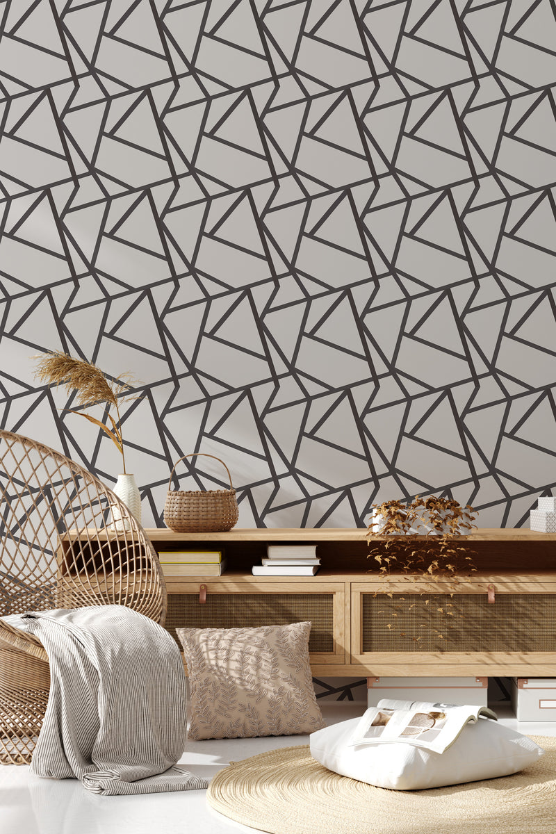 living room rattan furniture decorative plant bold lines wall decor