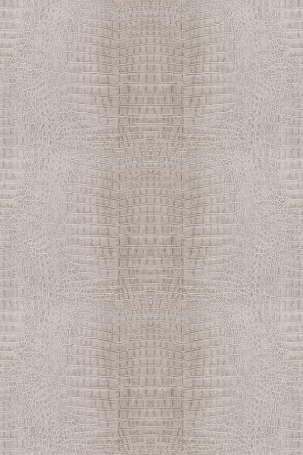 Crocodile skin