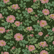 Bold Rose Wallpaper