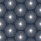 Dandelion Wallpaper