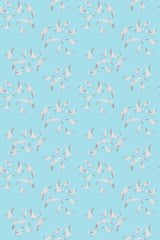 Seagulls