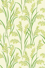 Rice plant