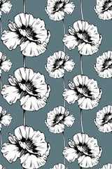 Poppy
