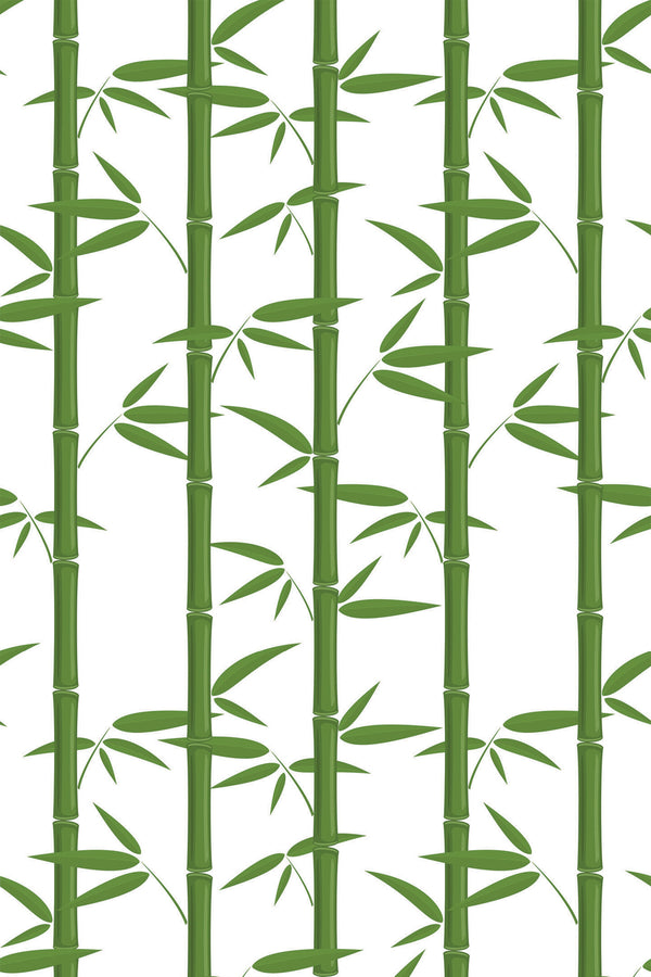 Green bamboo