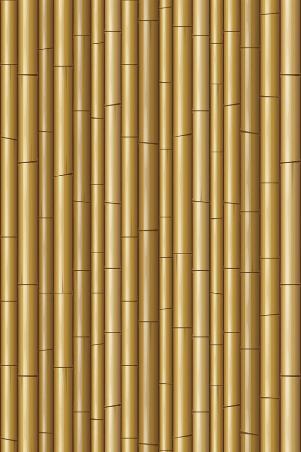 Bamboo