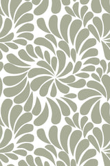 Paisley