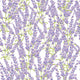 Lavender Wallpaper