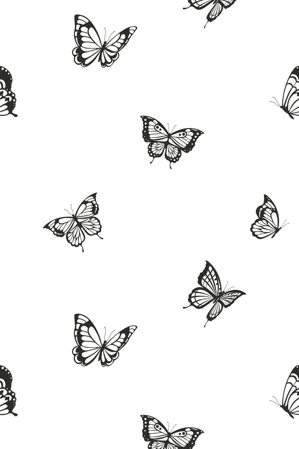 Minimal butterfly