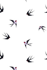 Swallow