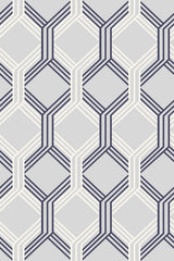 Traditional geometric