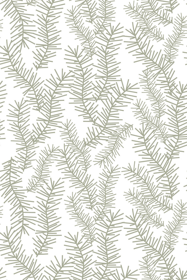 Pine tree branches