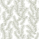 Pine tree branches Wallpaper