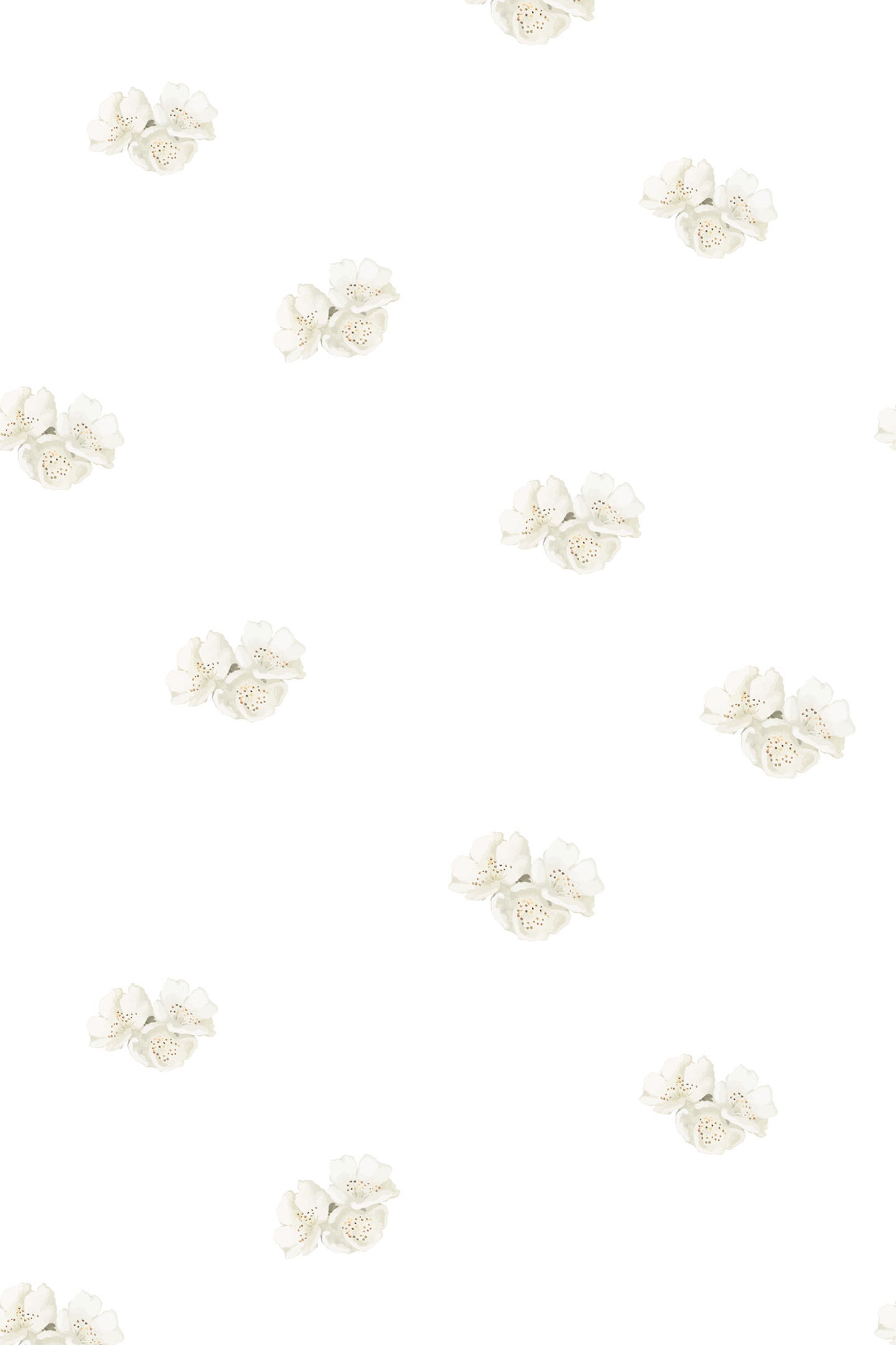 White wallpaper with a minimalist design of small, evenly spaced clusters of delicate cream flowers with subtle green leaves on a plain background. Peel and stick removable wallpaper.