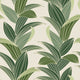 Tropical leaf Wallpaper