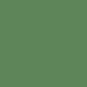 Solid dark green Wallpaper