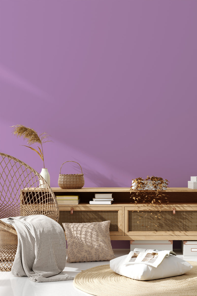 living room rattan furniture decorative plant solid wall decor